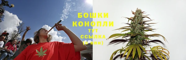 прущие крисы Елабуга
