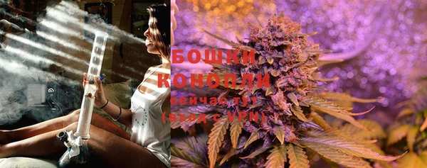 прущие крисы Елабуга