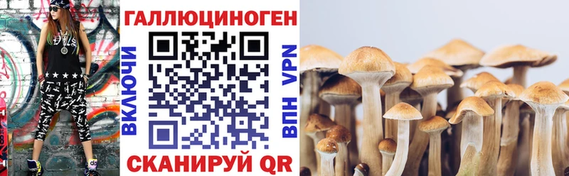 купить наркотик  Карачев  Галлюциногенные грибы прущие грибы 
